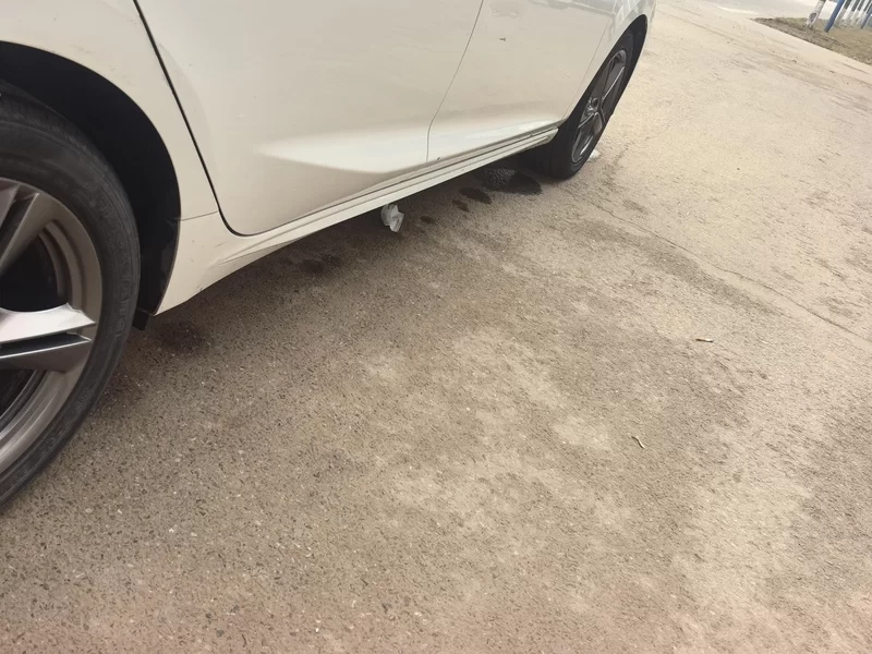 Changan Raeton Plus 2022 car image #24