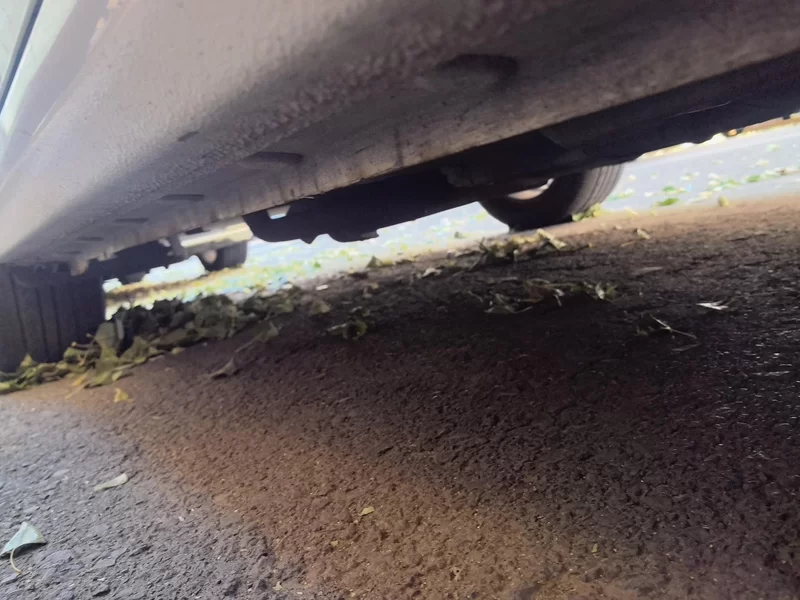 BYD Qin 2019 immagine di auto #24