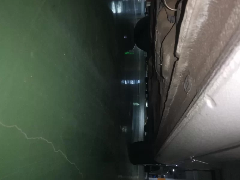 Skoda Rapid 2018 car image #24