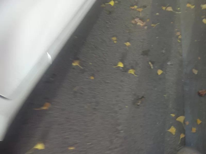 Chery QQ Ice Cream 2025 car image #24