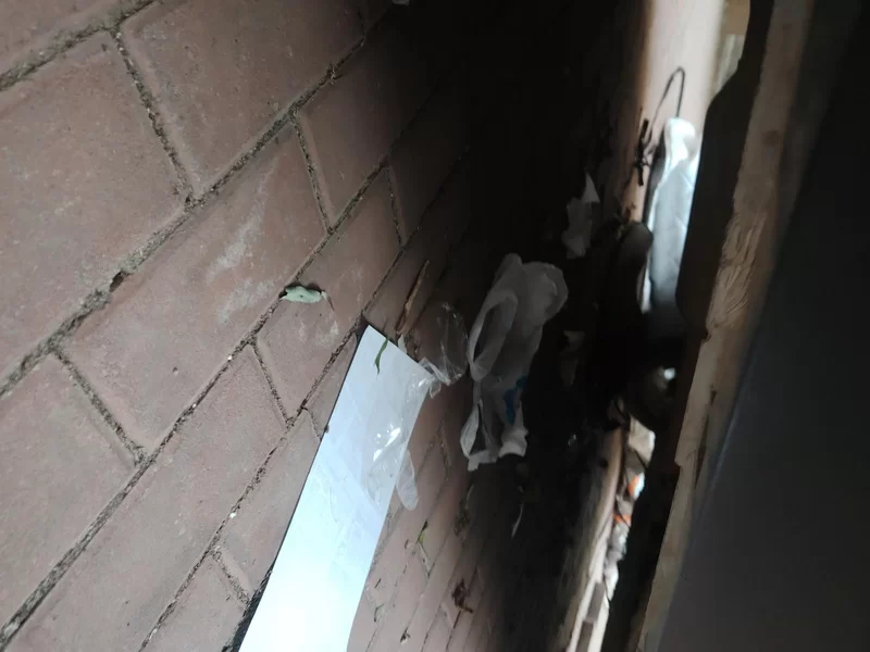 Changan CS55PLUS PHEV 2021 #24 Changan CS55PLUS PHEV 2021 immagine di auto #24