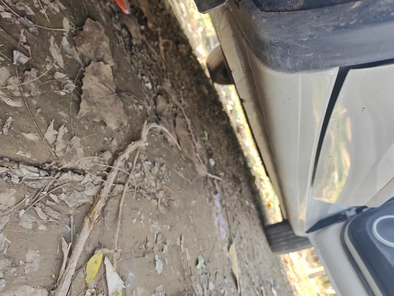 五菱汽车 五菱缤果 2024 汽车图片 #24