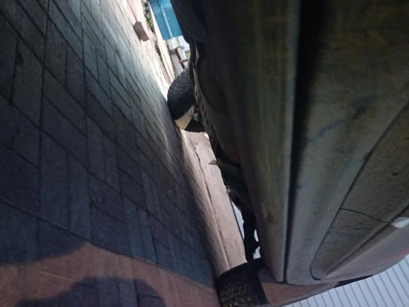 Haval H9 2020 #24 Haval H9 2020 car image #24