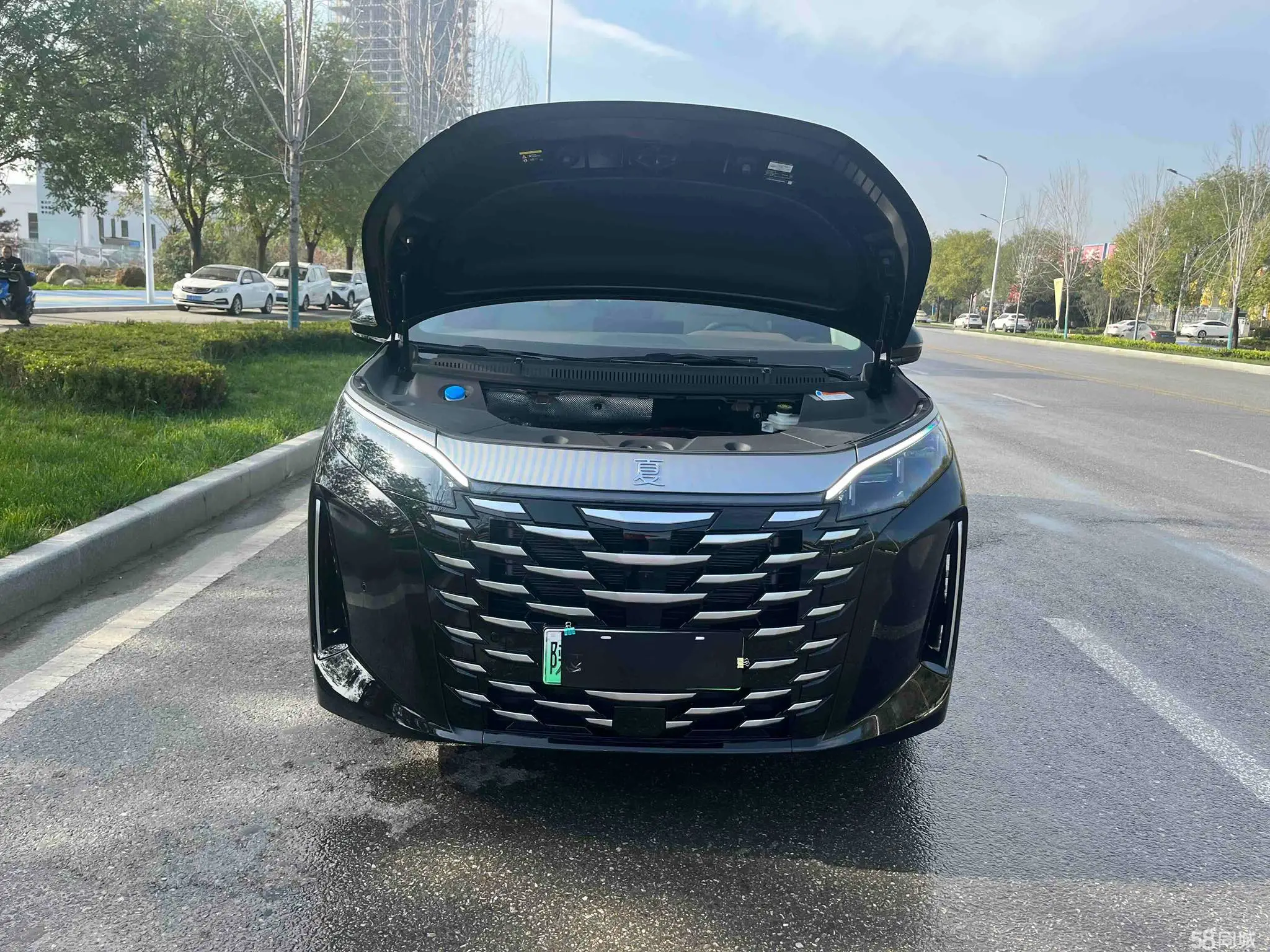 BYD Xia 2024 car image #24