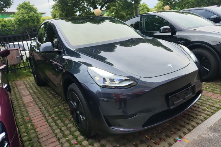 Tesla Model Y 2025 car image #6