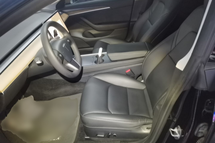 Tesla Model 3 2021 car image #15