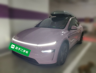 Tesla Model Y 2025 Tesla Model Y 2025 car image