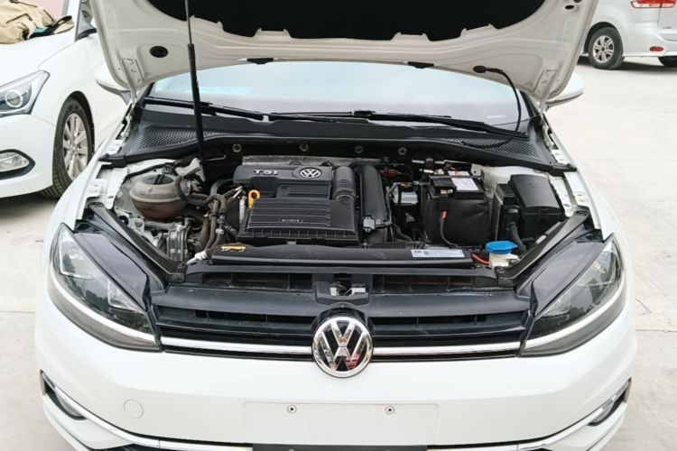 Volkswagen Golf 2019 #22 Volkswagen Golf 2019 صورة سيارة #22