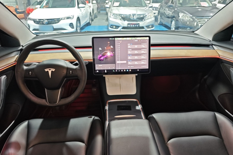 Tesla Model 3 2021 #10 Tesla Model 3 2021 car image #10