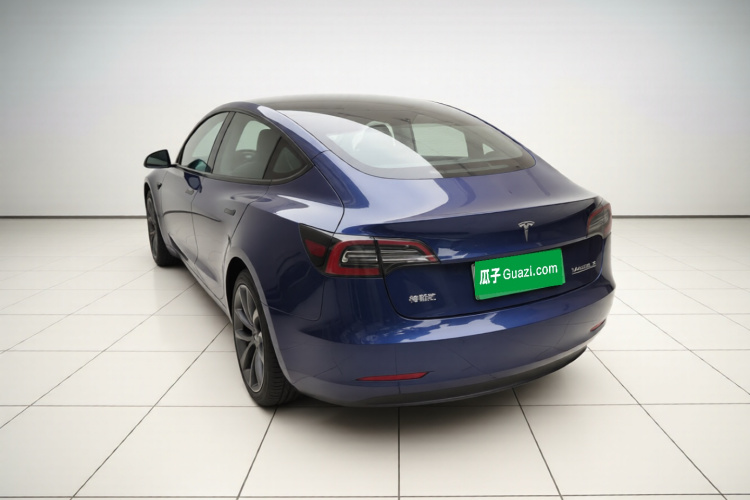 Tesla Model 3 2021 #5 Tesla Model 3 2021 car image #5