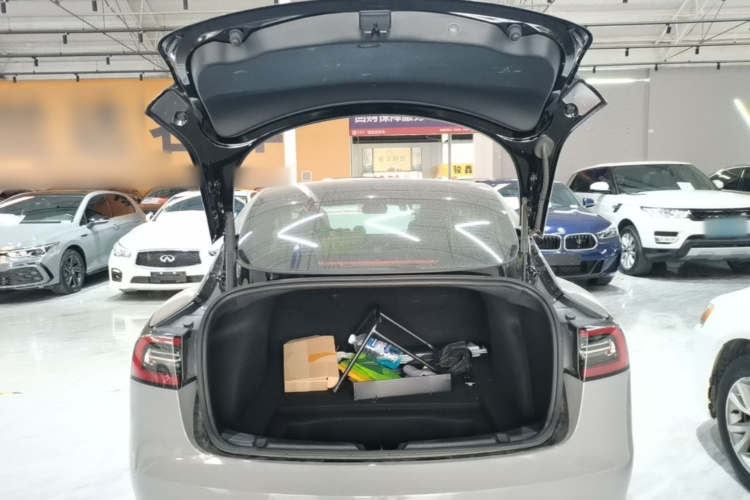 Tesla Model 3 2021 car image #19