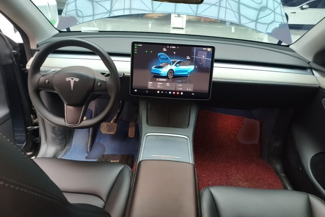 Tesla Model Y 2024 car image #15