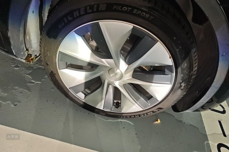 Tesla Model Y 2021 car image #9