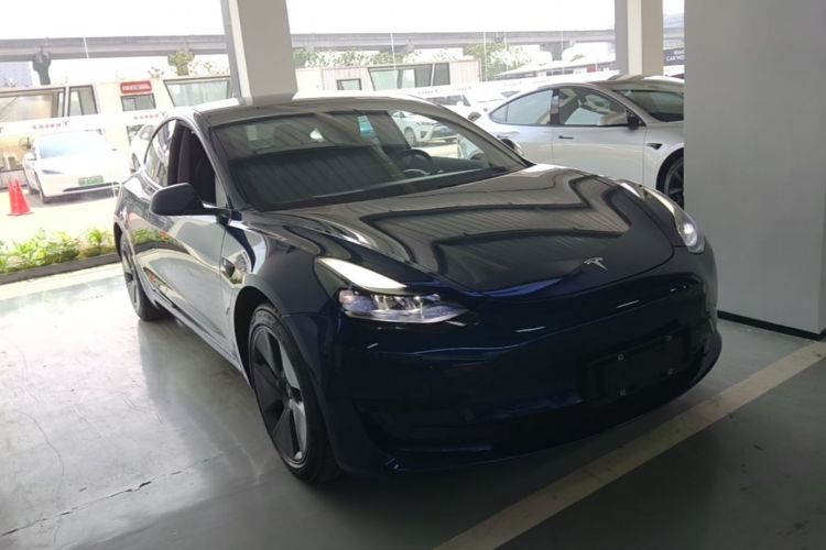 Tesla Model 3 2021 #6 Tesla Model 3 2021 car image #6