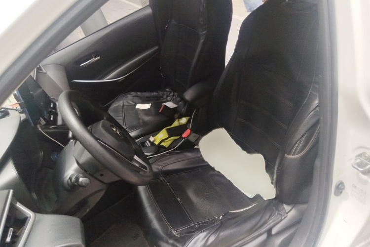 Toyota Corolla 2020 car image #19