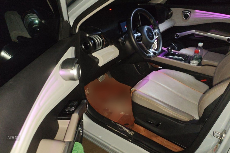 BYD Yuan Plus 2023 car image #18
