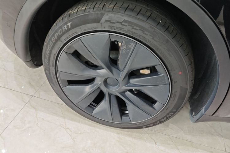 Tesla Model Y 2023 car image #10