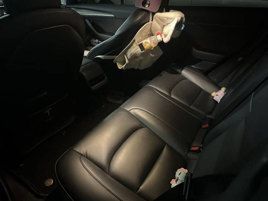 Tesla Model 3 2021 imagem de carro #4