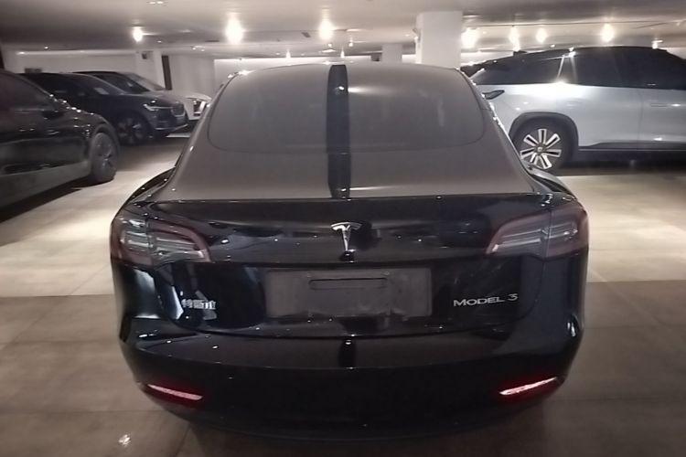 Tesla Model 3 2021 car image #6