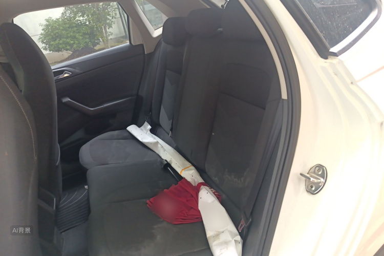 Volkswagen Polo 2020 car image #19