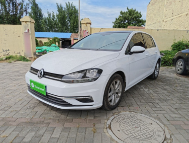 Volkswagen Golf 2019 Volkswagen Golf 2019 car image