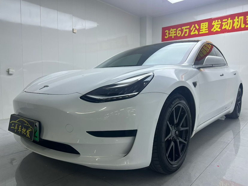 Tesla Model 3 2020 car image 