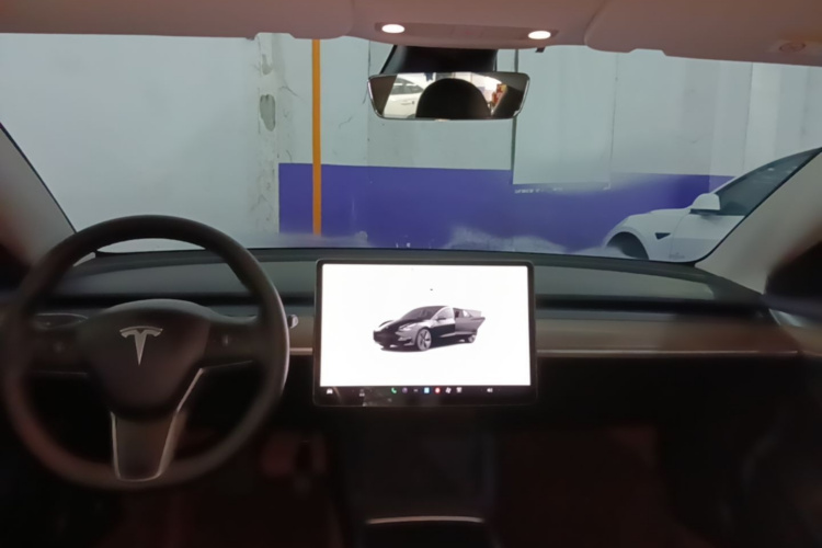 Tesla Model 3 2022 car image #10