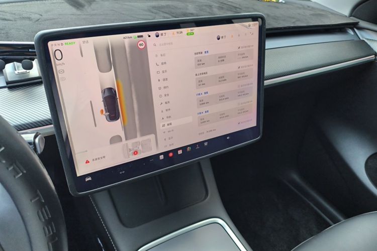 Tesla Model Y 2024 car image #13
