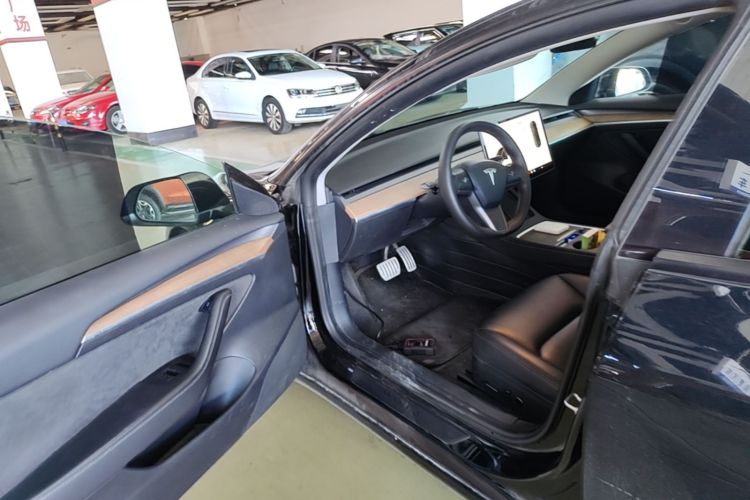 Tesla Model 3 2021 car image #16