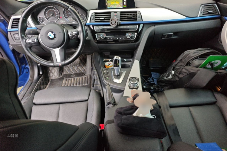 BMW 3 Series GT 2017 car image #11