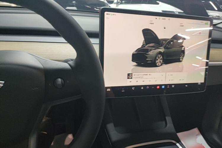 Tesla Model Y 2022 car image #10