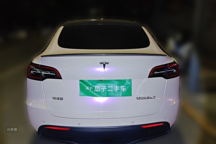 Tesla Model Y 2023 #6 Tesla Model Y 2023 car image #6