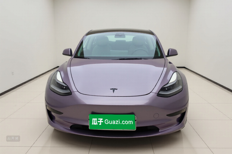 Tesla Model 3 2021 #3 Tesla Model 3 2021 car image #3