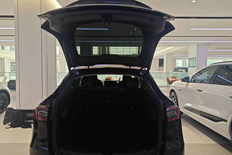 Tesla Model Y 2023 #19 Tesla Model Y 2023 car image #19