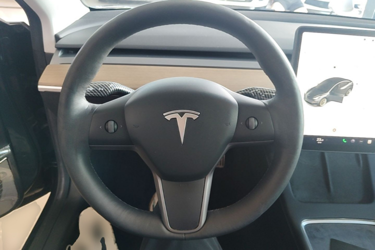 Tesla Model 3 2021 #15 Tesla Model 3 2021 immagine di auto #15