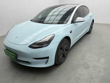 Tesla Model 3 2021 Tesla Model 3 2021 car image