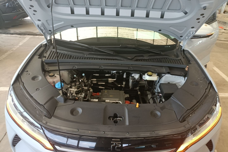 BYD YuanUP 2026 #20 BYD YuanUP 2026 car image #20