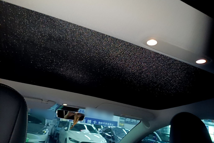Tesla Model 3 2021 car image #21