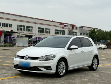 Volkswagen Golf 2019 car image 