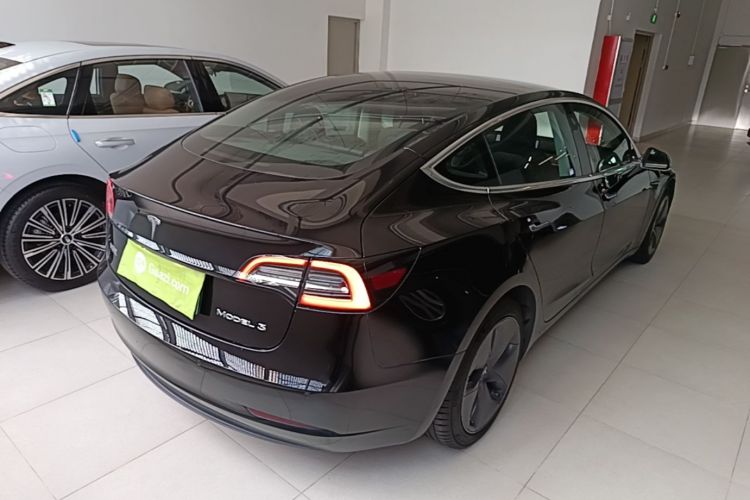 Tesla Model 3 2020 car image #7