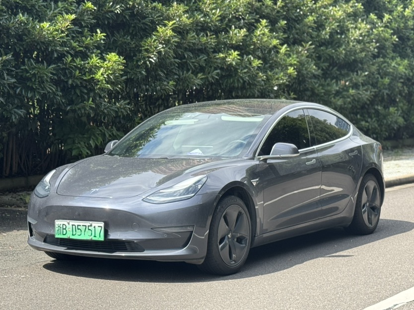 Tesla Model 3 2020 #3 Tesla Model 3 2020 car image #3