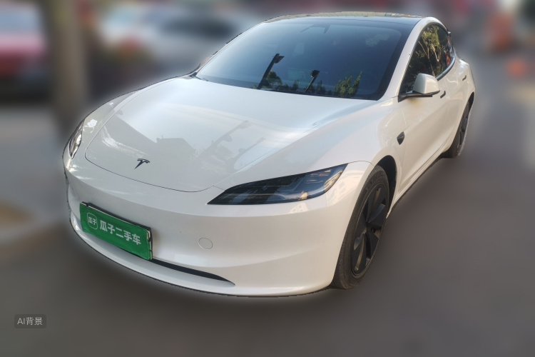 Tesla Model 3 2024 #2 Tesla Model 3 2024 car image #2