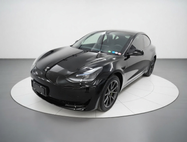 Tesla Model 3 2023 Tesla Model 3 2023 car image