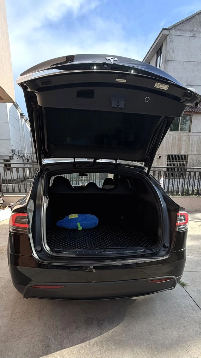 Tesla Model X 2017 #4 Tesla Model X 2017 car image #4