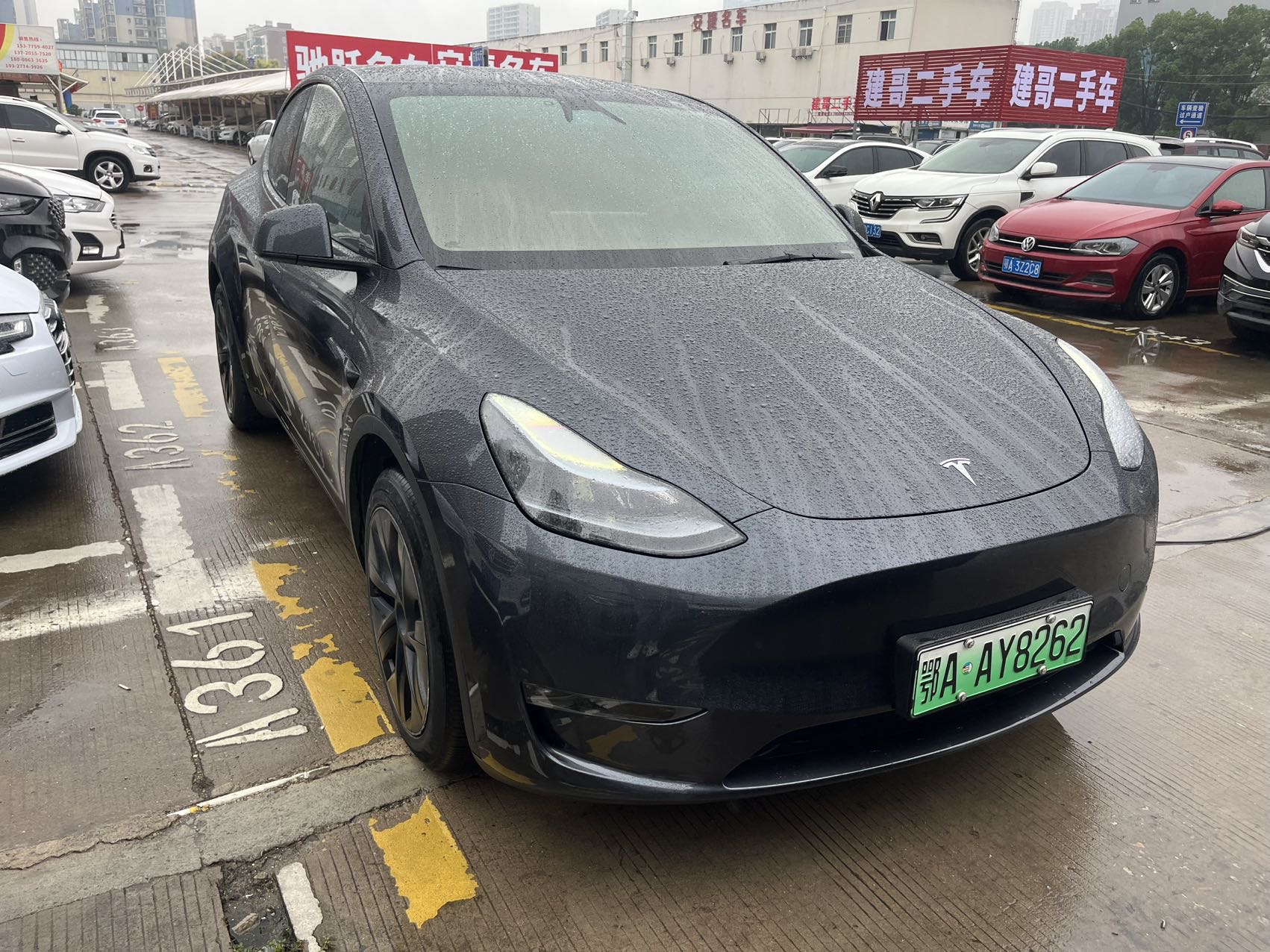 Tesla Model Y 2024 car image #2