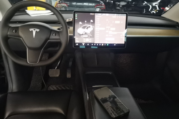 Tesla Model Y 2022 car image #10