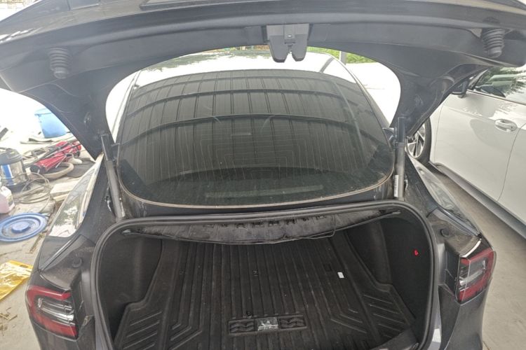 Tesla Model 3 2020 car image #19