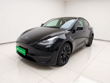 Tesla Model Y 2021 Tesla Model Y 2021 car image
