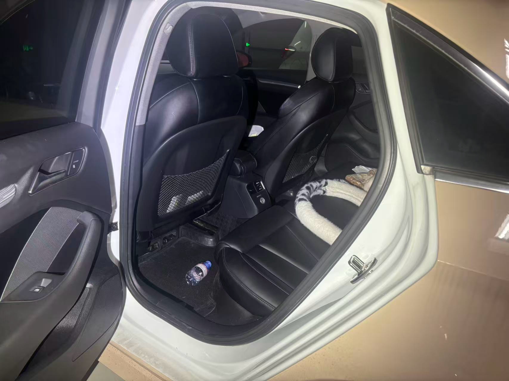 2019 immagine di auto #6