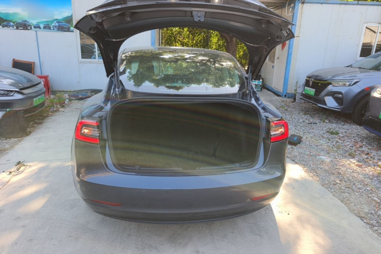 Tesla Model 3 2020 #19 Tesla Model 3 2020 car image #19